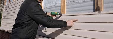 Best Steel Siding Installation  in Buena, NJ